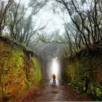 Rincones De Canarias
