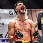 Tamerlan Dulatov