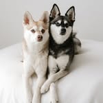lifewithkleekai