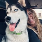 petsitter_aix